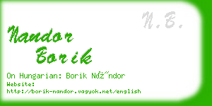 nandor borik business card